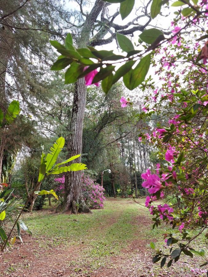 Oasis Bed And Breakfast Puerto Iguazu Exterior photo