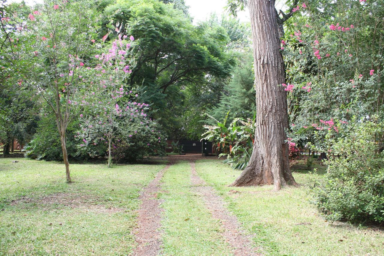 Oasis Bed And Breakfast Puerto Iguazu Exterior photo